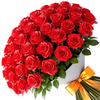 สติ๊กเกอร์ดอกไม้ ดอกกุหลาบ GIF